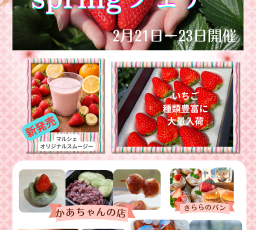 springフェア開催のお知らせ写真